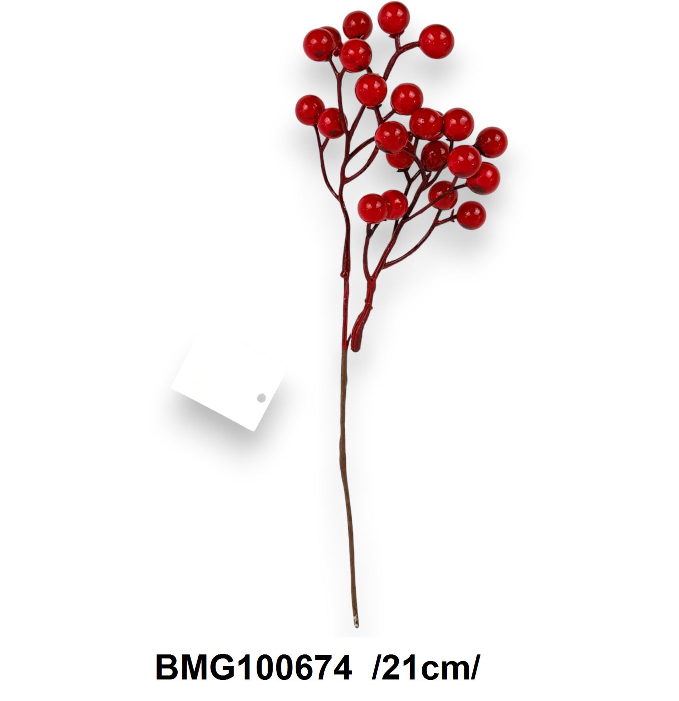 BMG100674