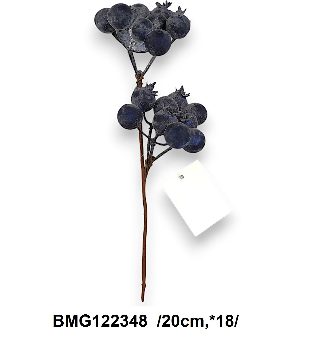 BMG122348