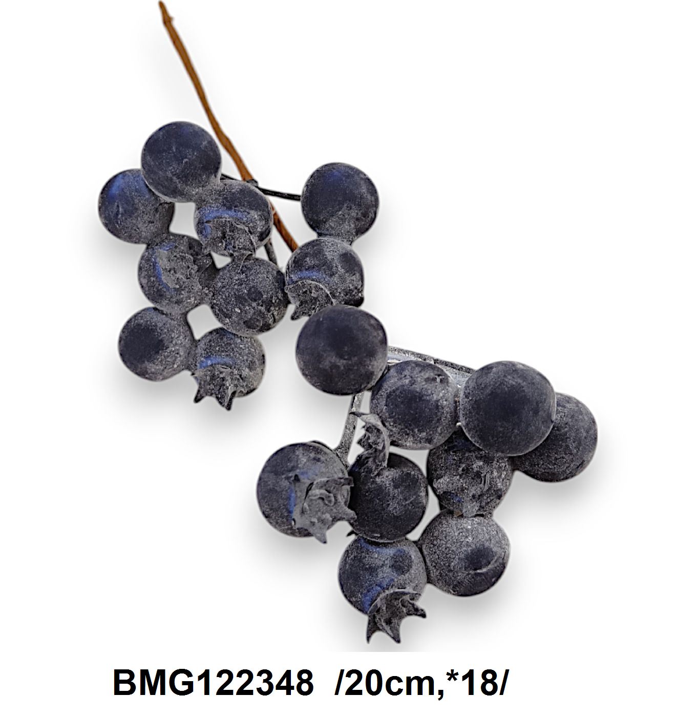 BMG122348