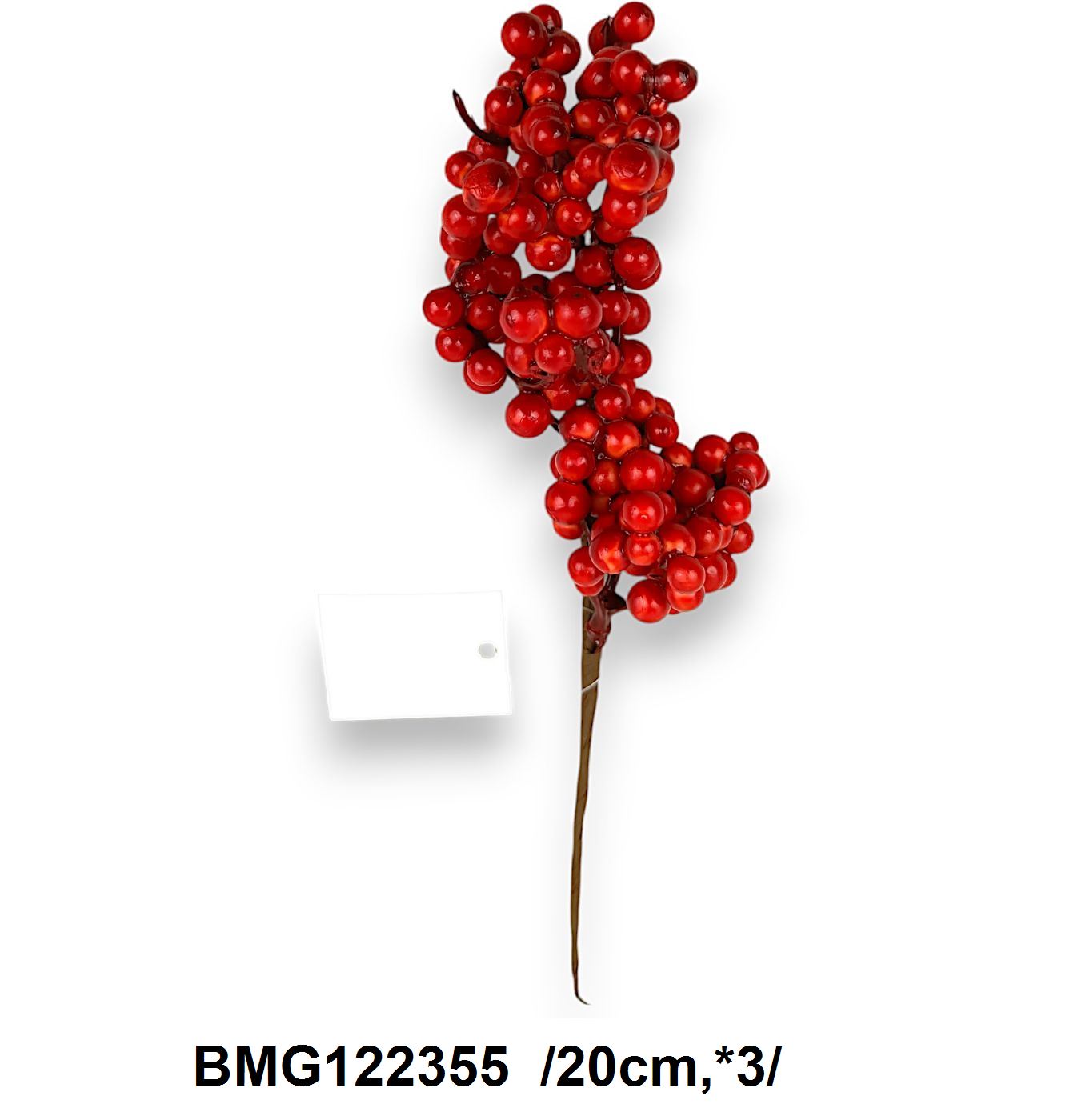 BMG122355