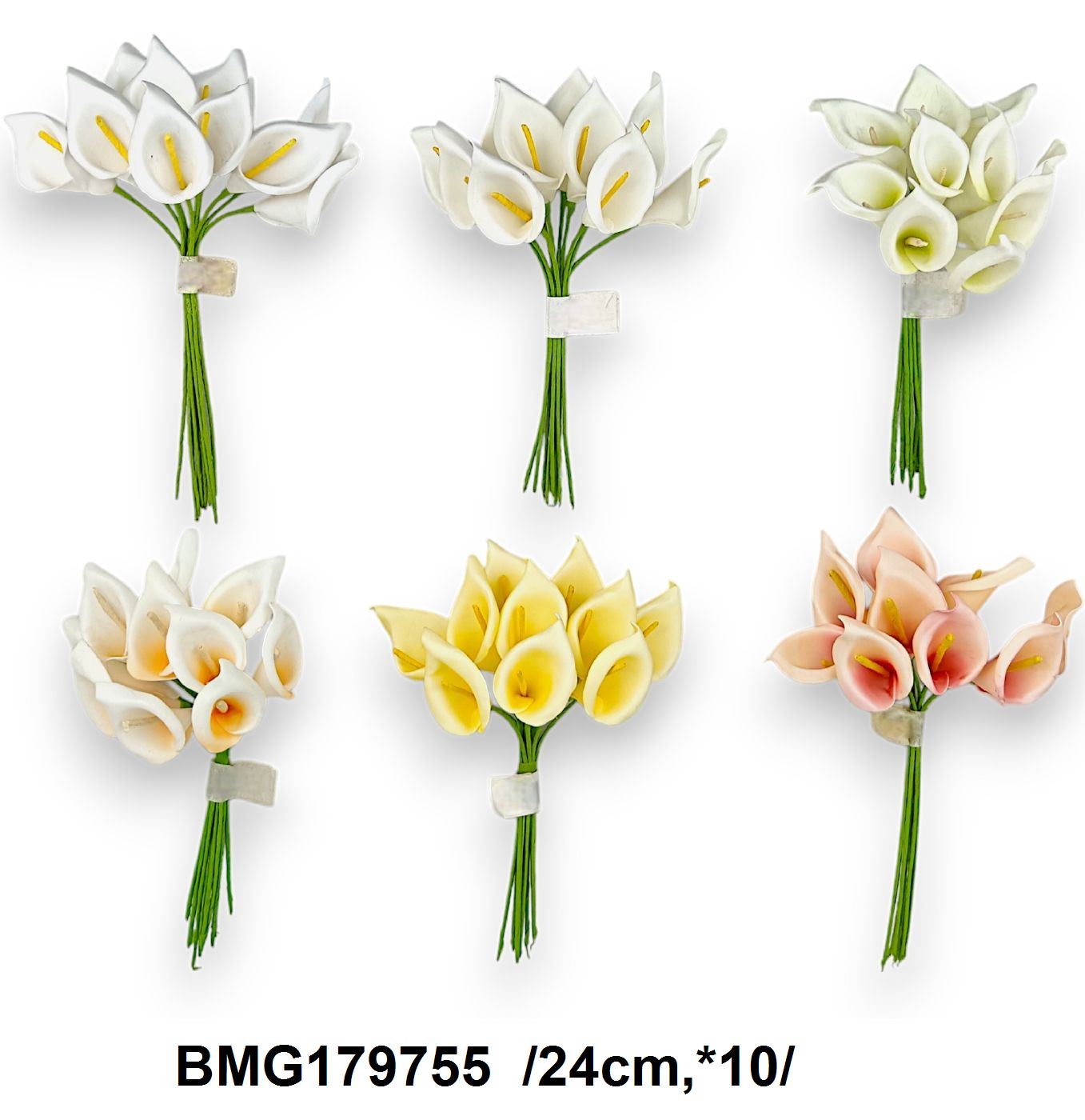 BMG179755
