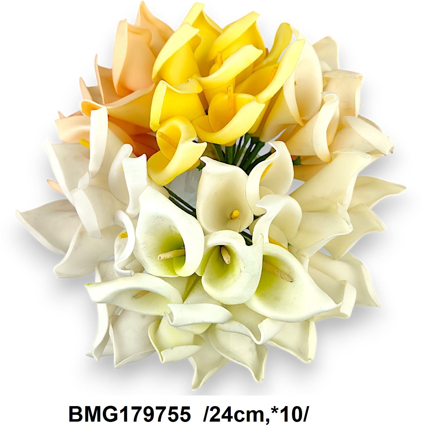 BMG179755