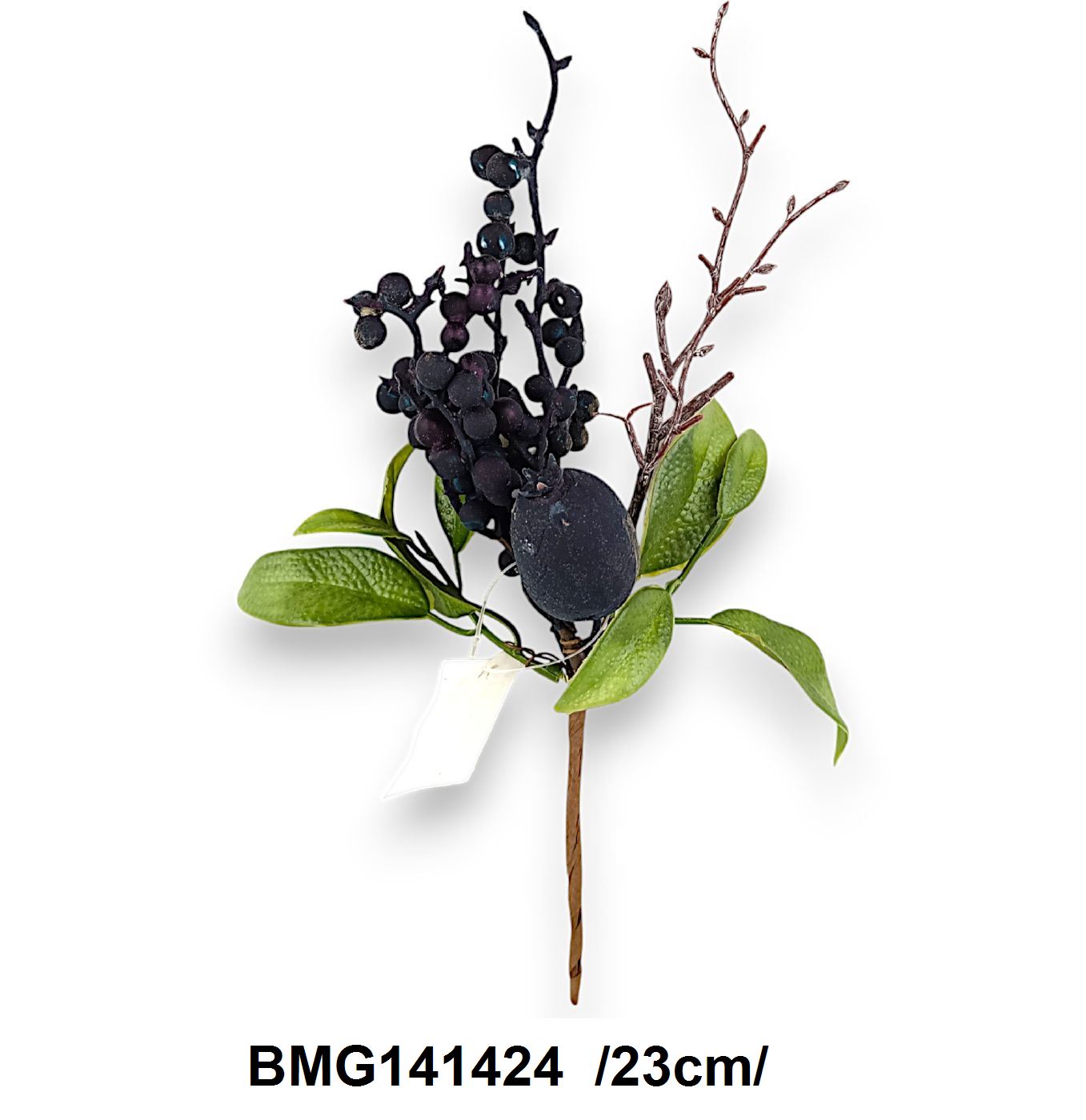 BMG141424
