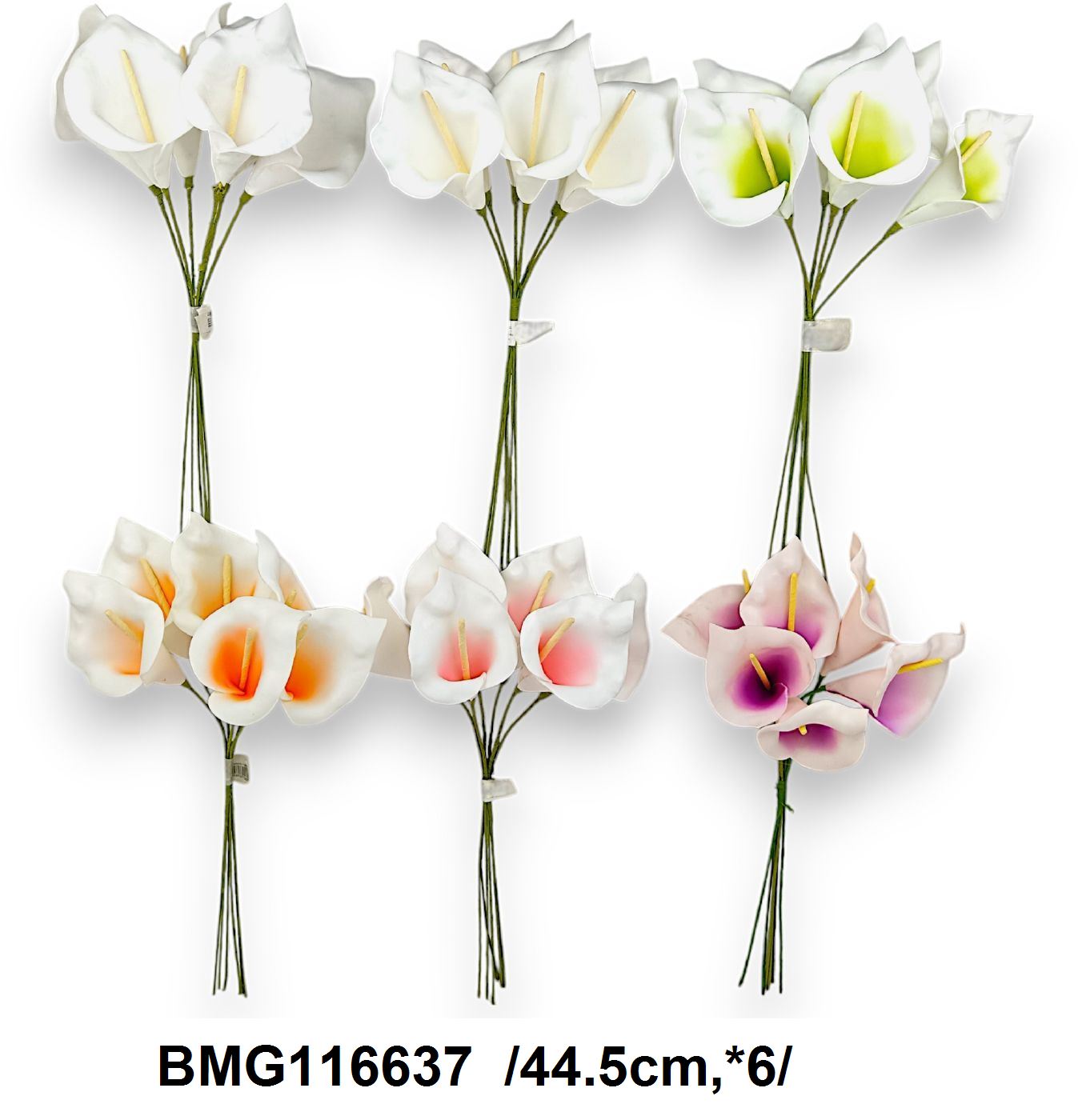 BMG116637