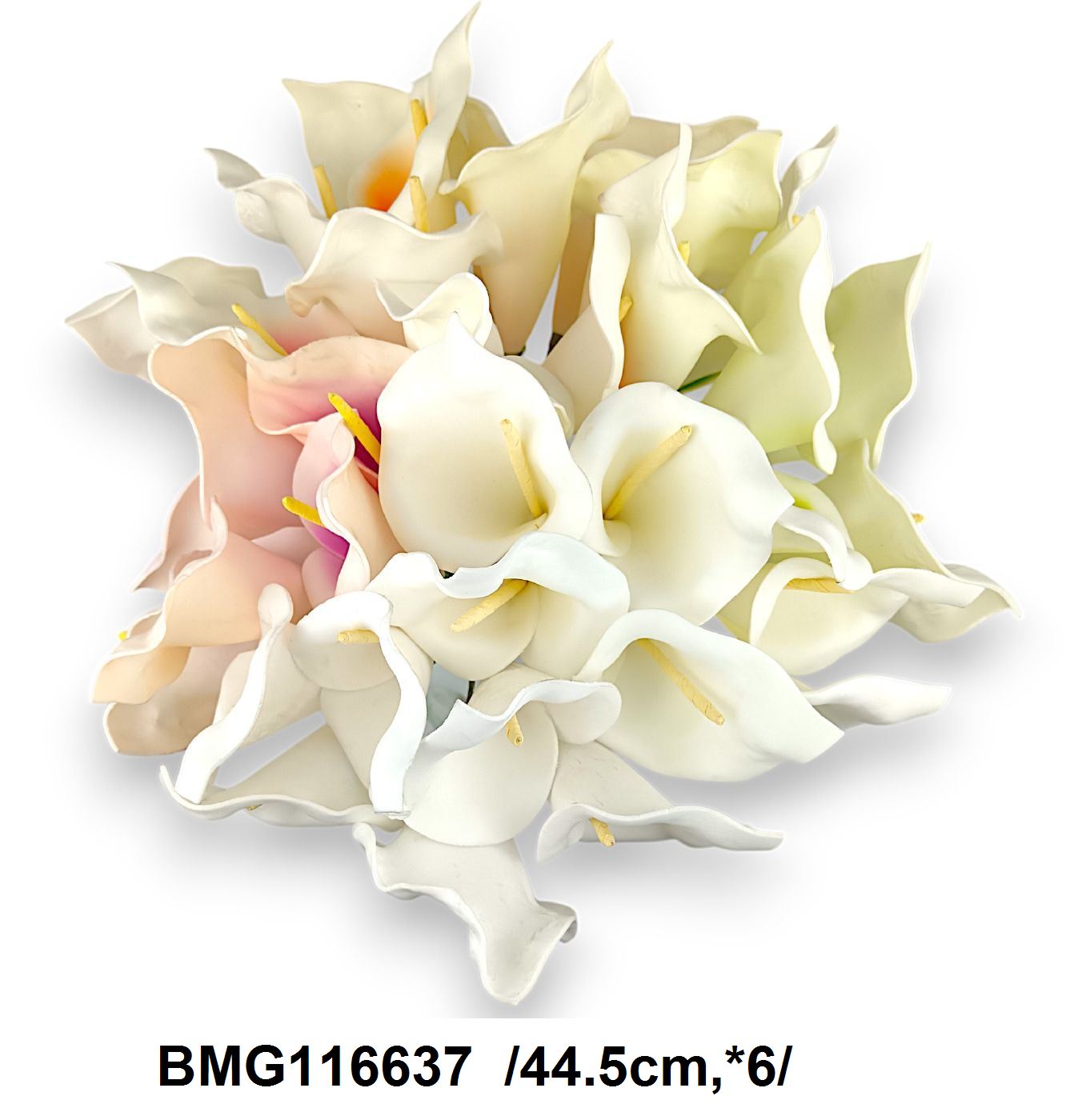 BMG116637