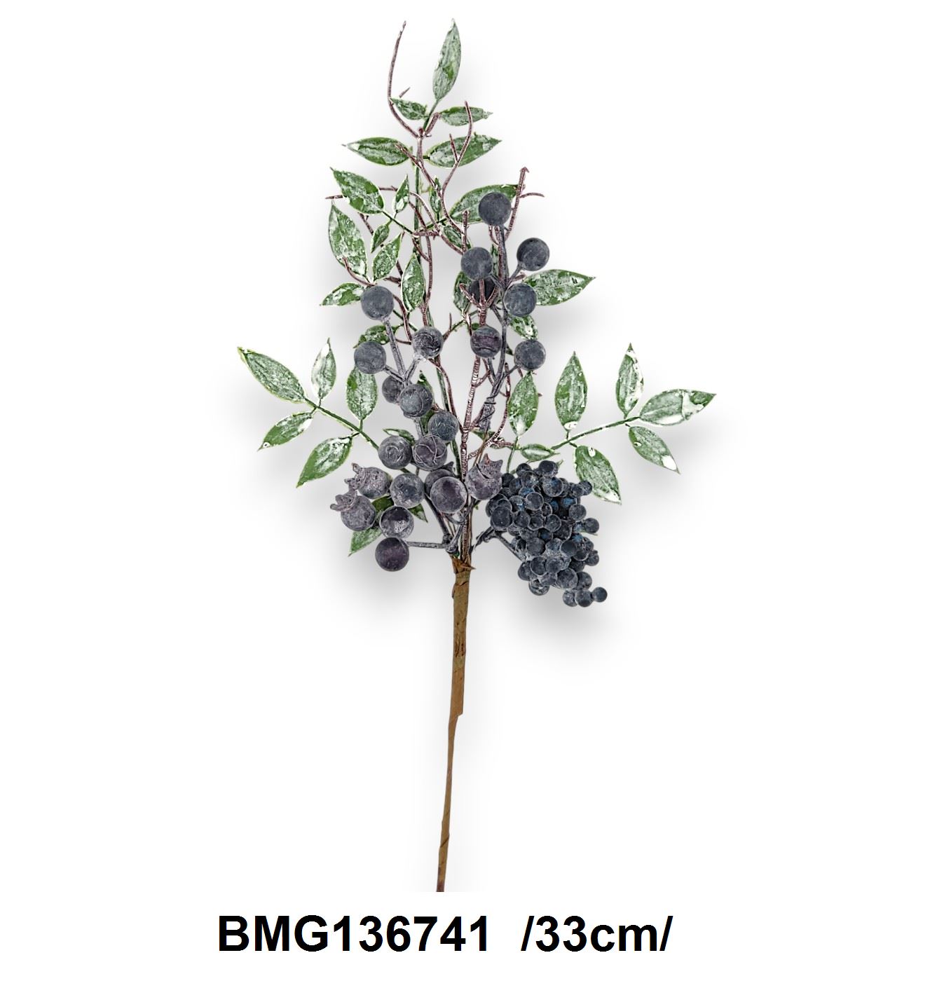 BMG136741