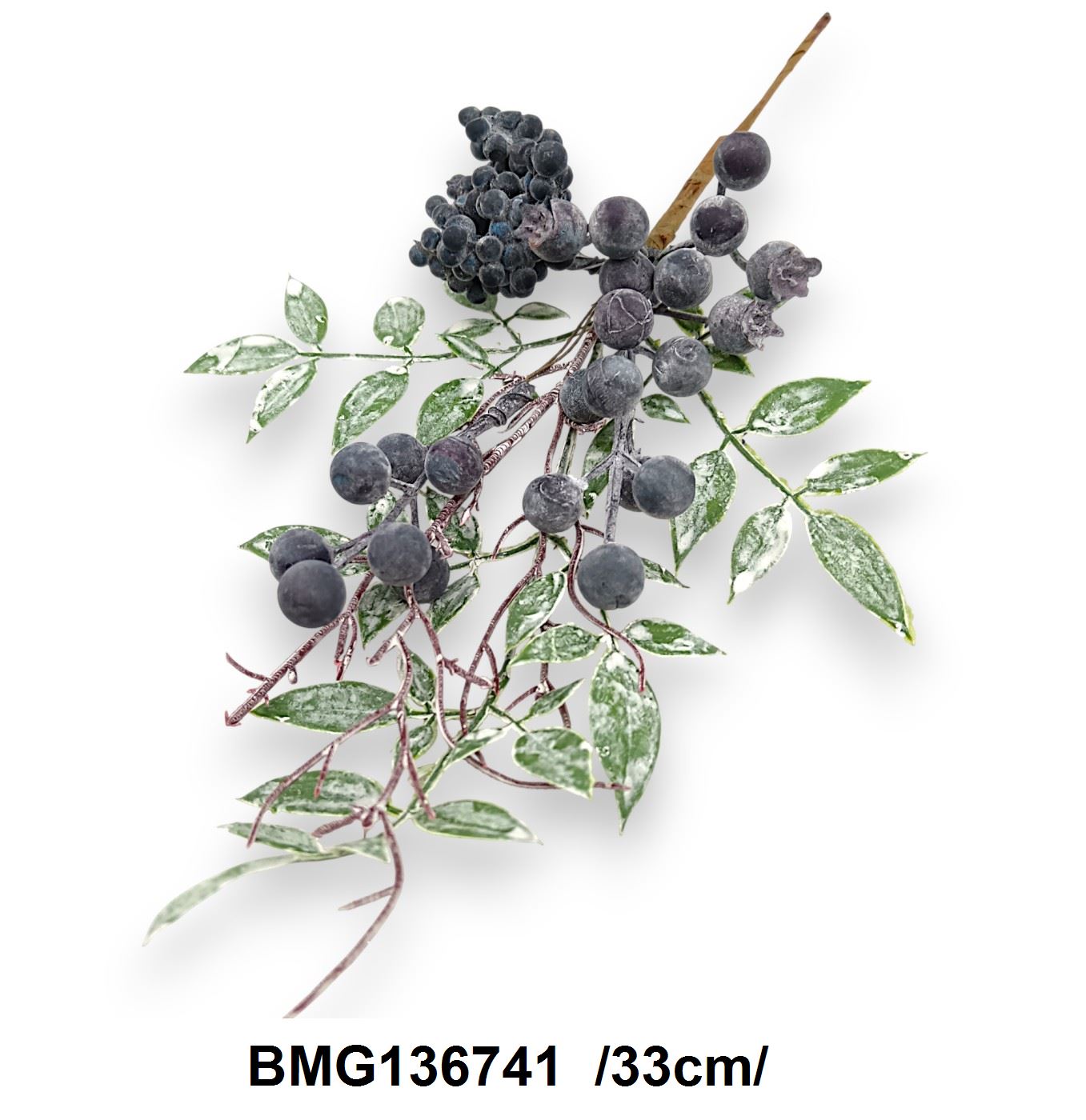 BMG136741