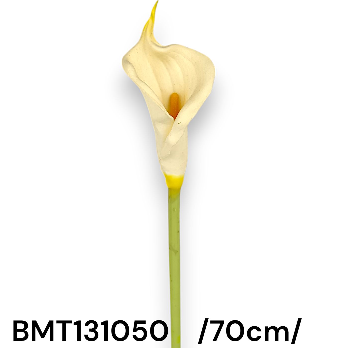BMT131050