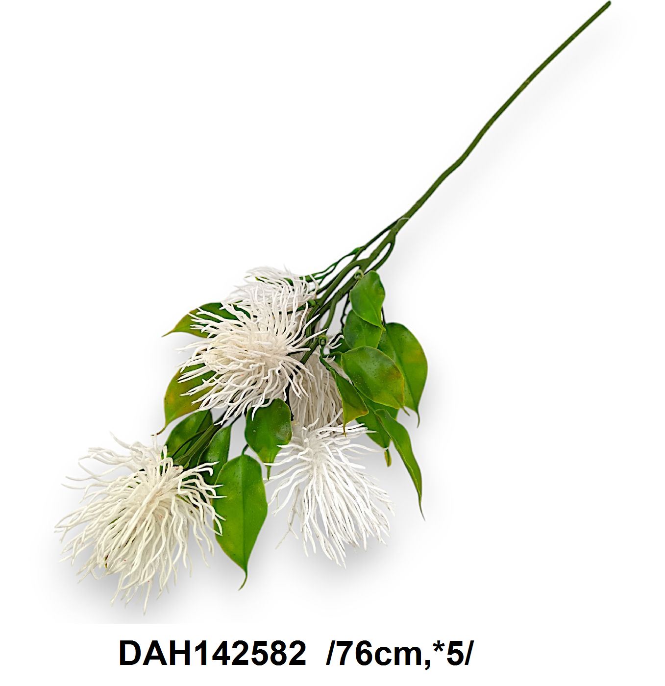 DAH142582
