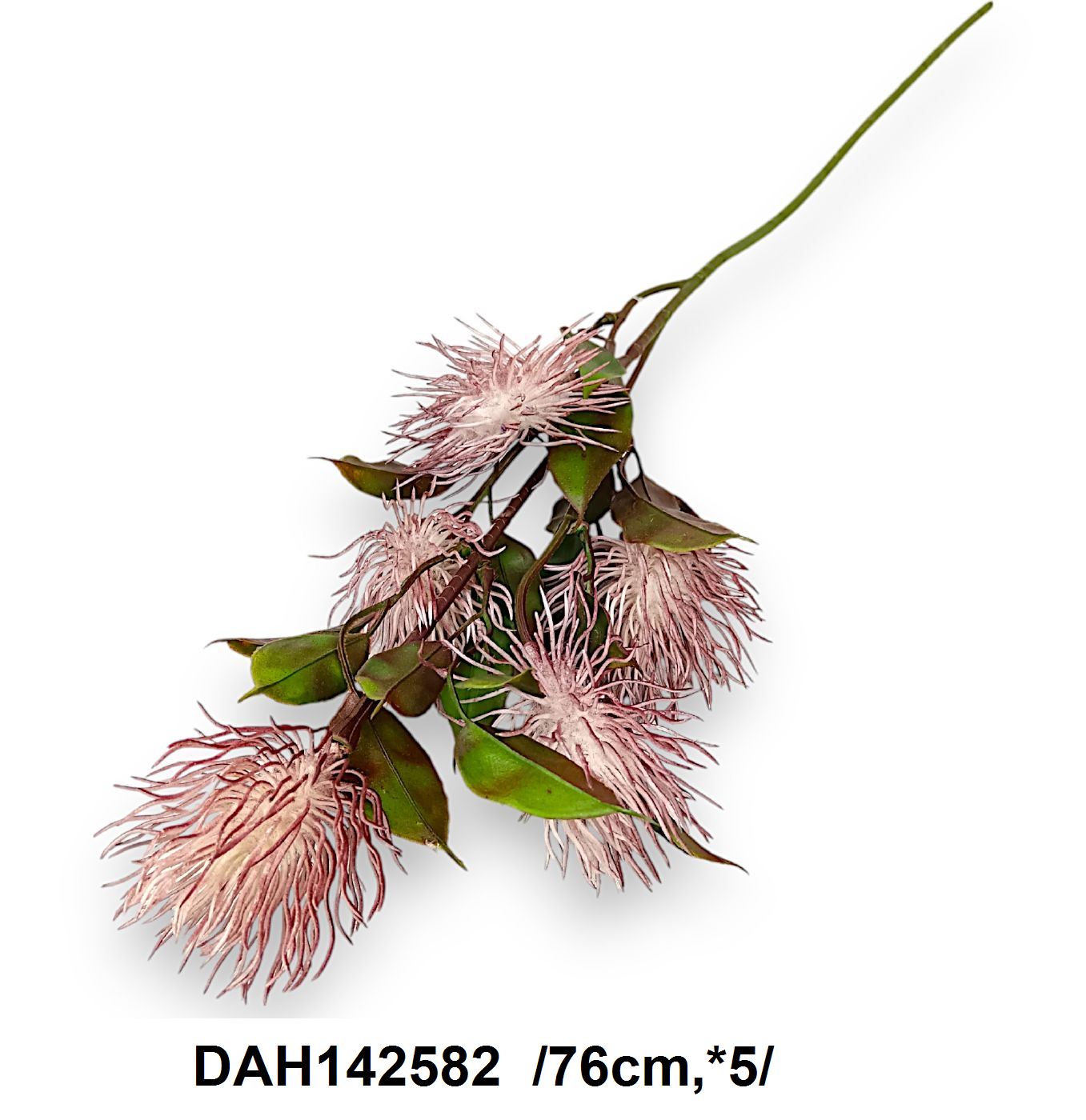 DAH142582