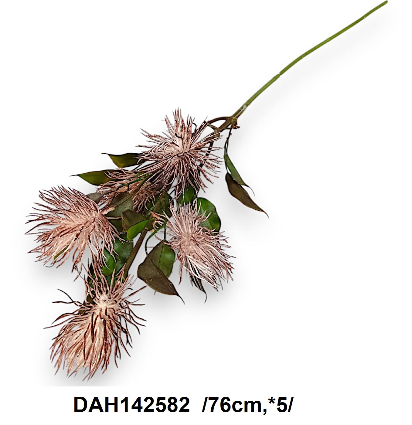 DAH142582