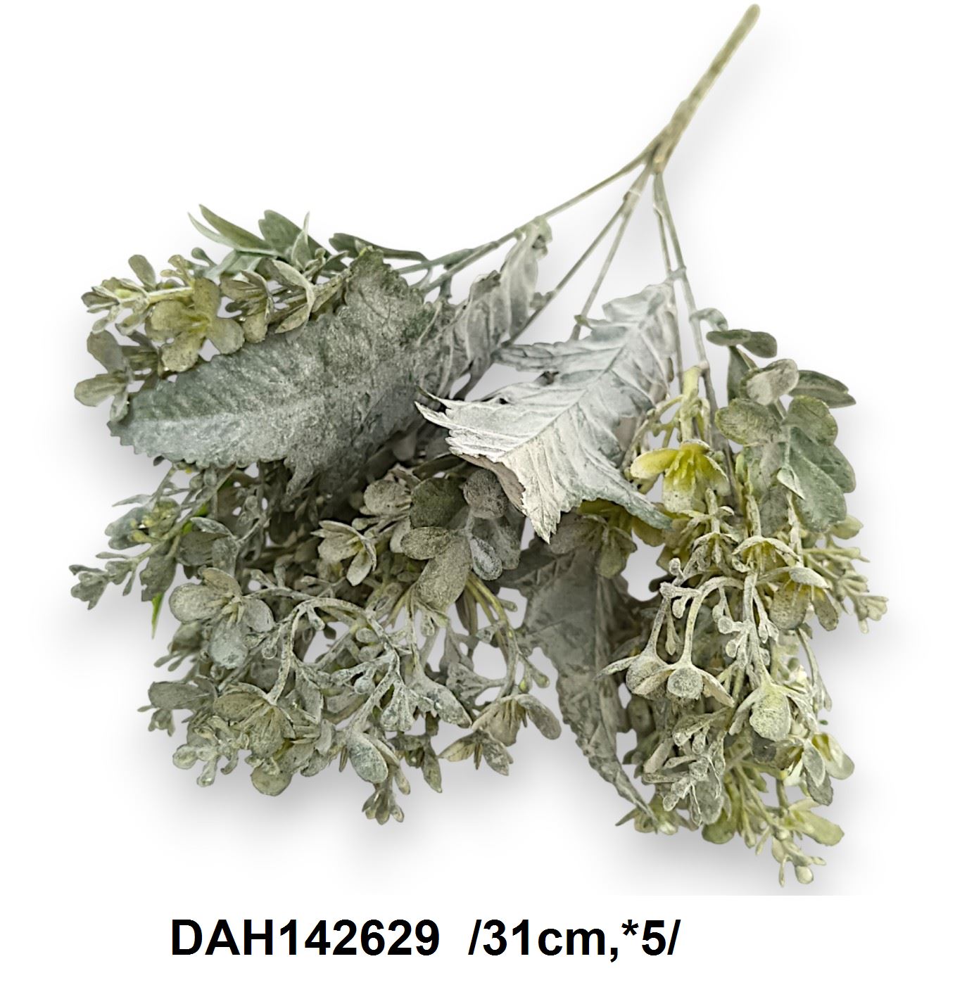 DAH142629