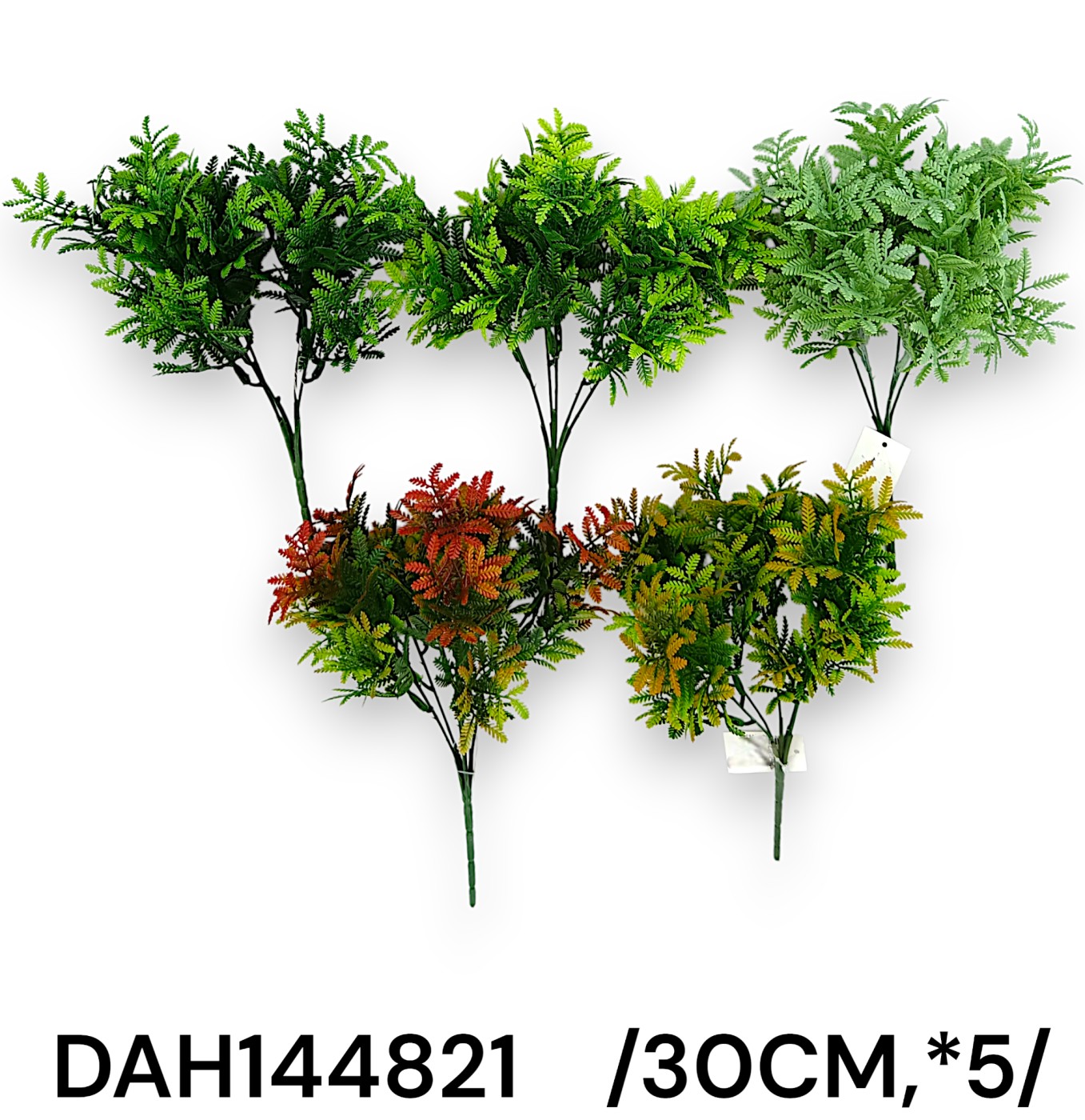 DAH144821