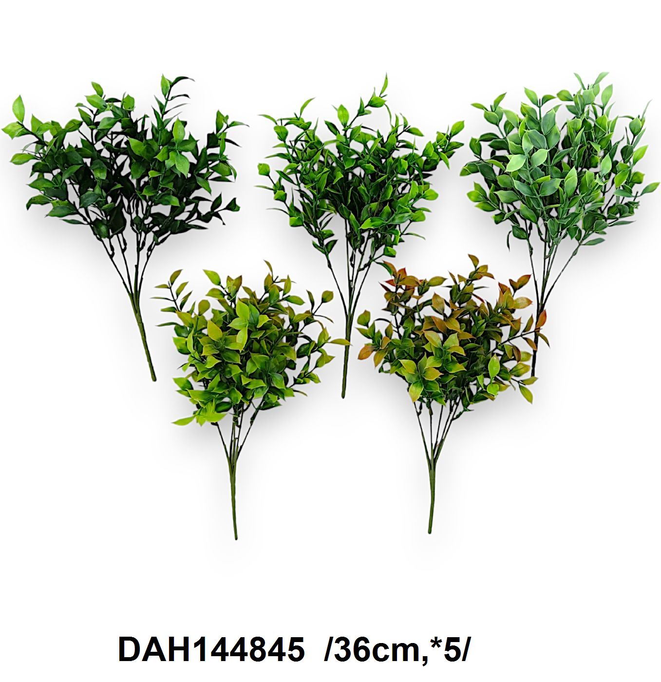 DAH144845