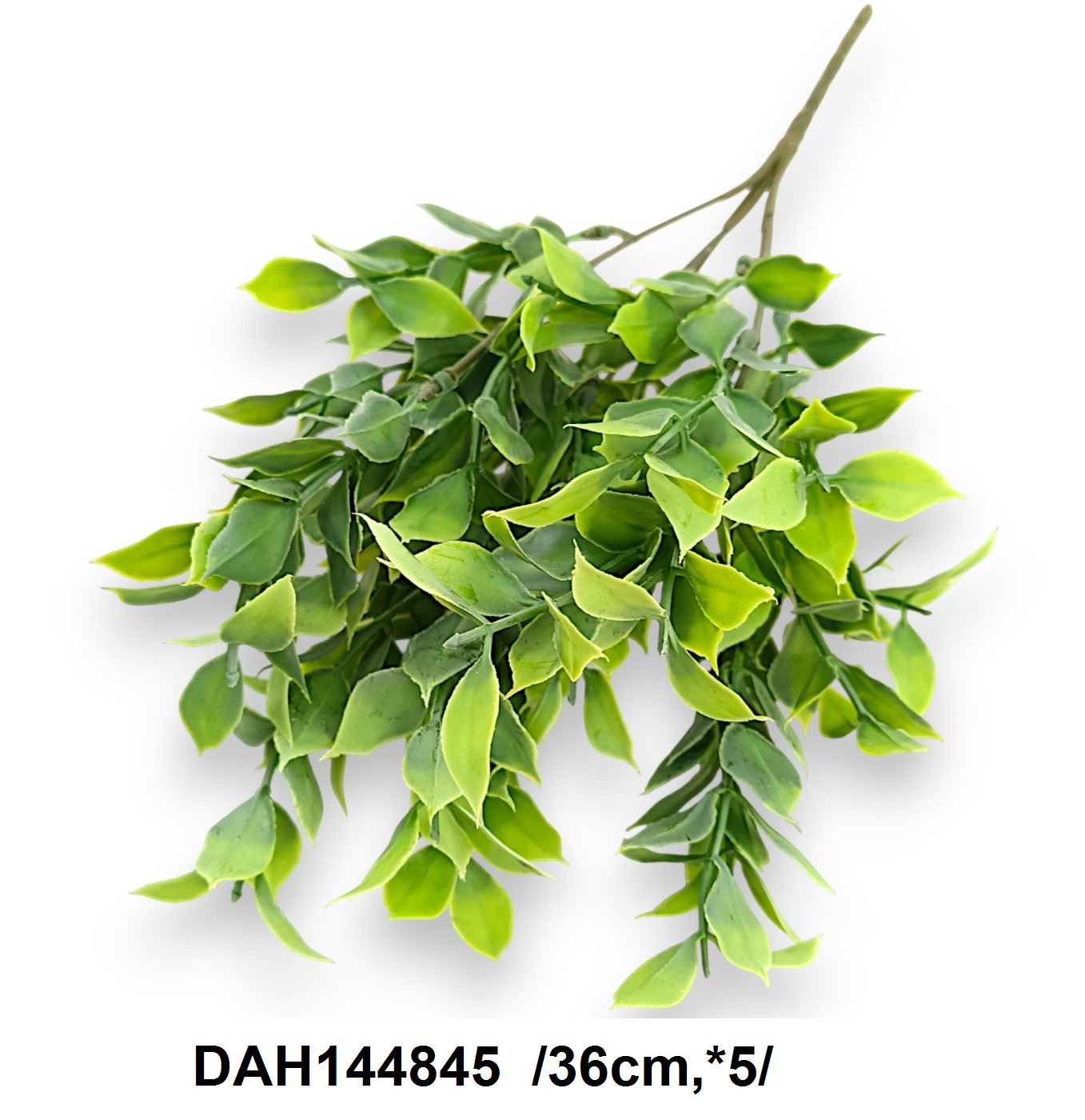 DAH144845