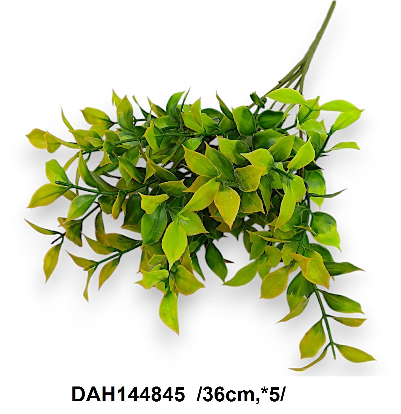 DAH144845