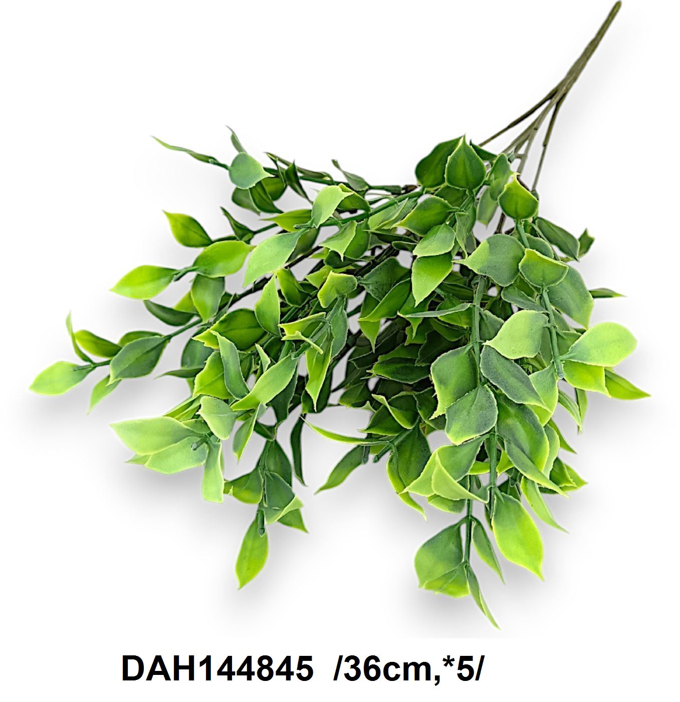 DAH144845