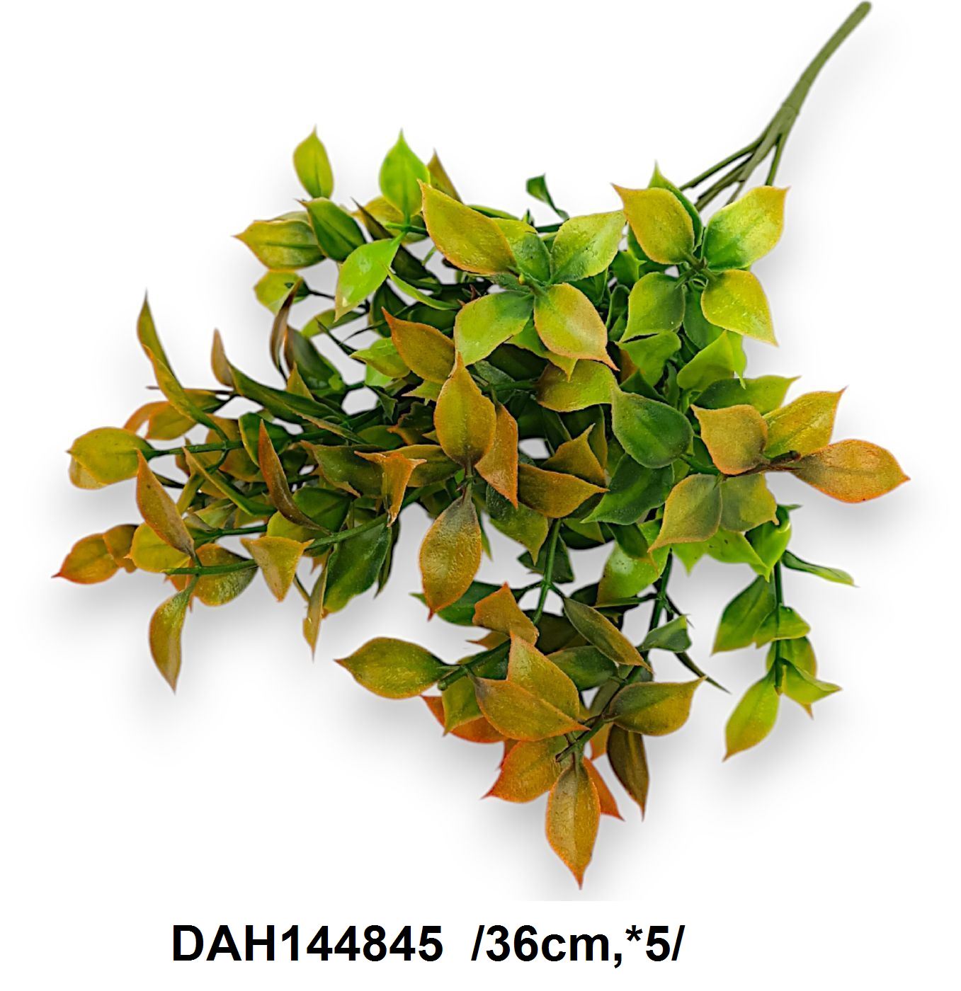 DAH144845