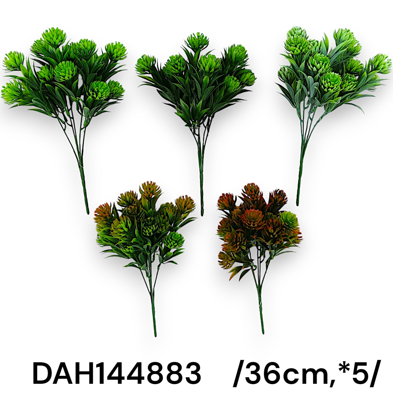 DAH144883