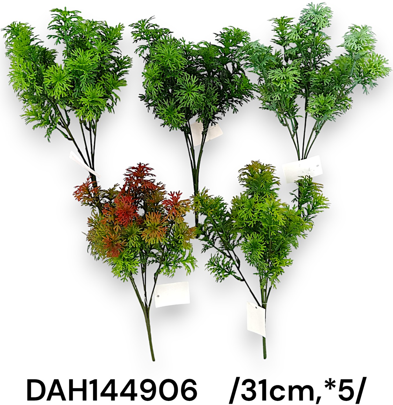 DAH144906