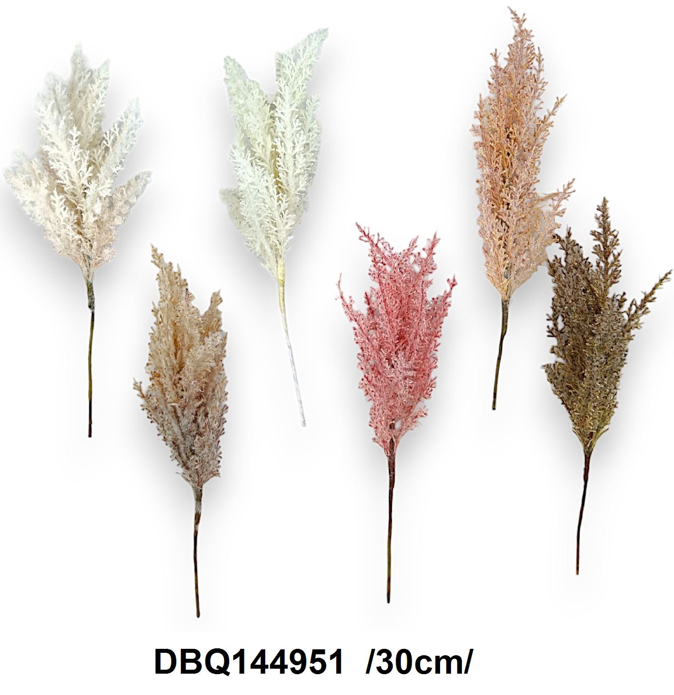 DBQ144951