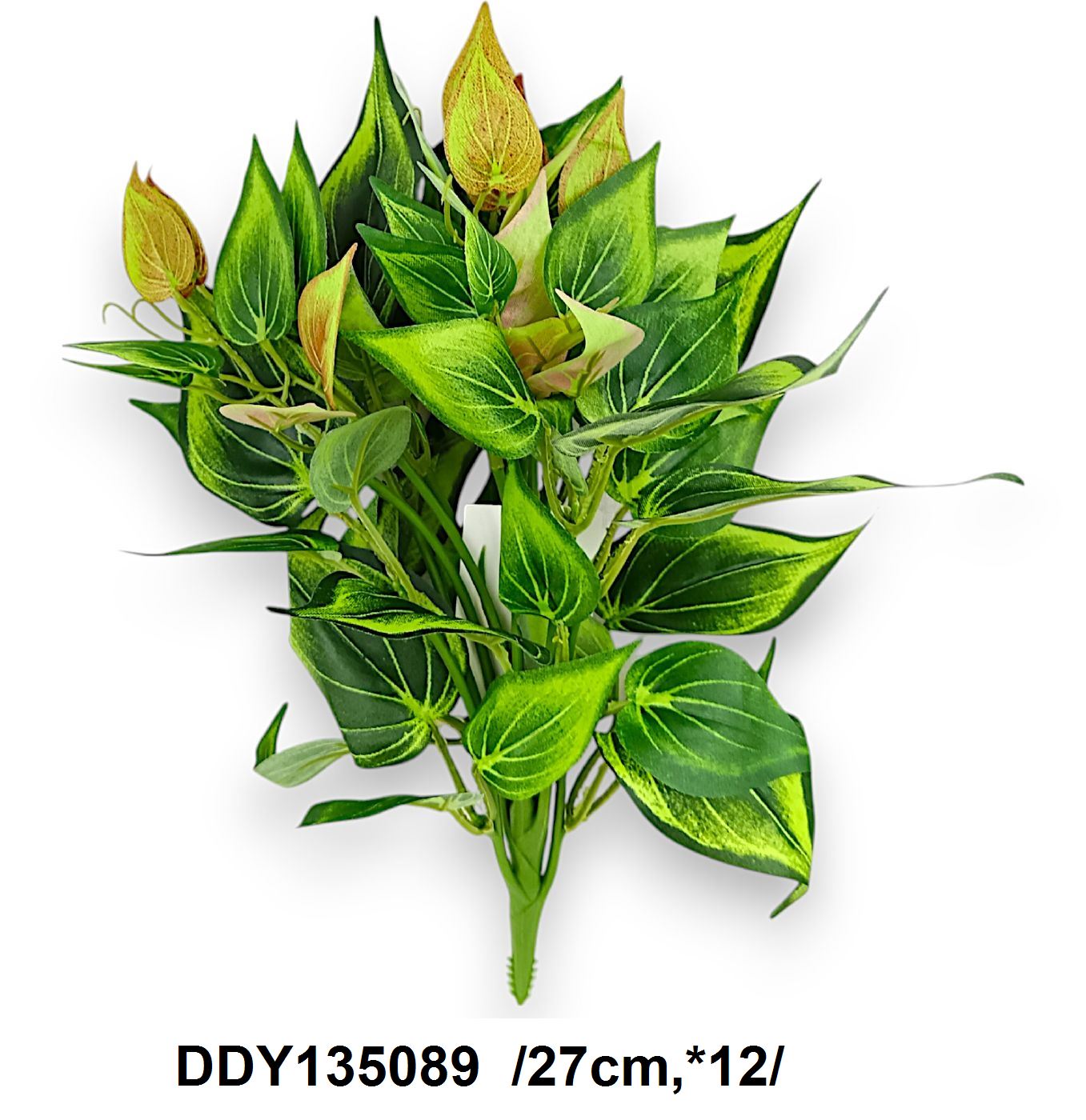 DDY135089