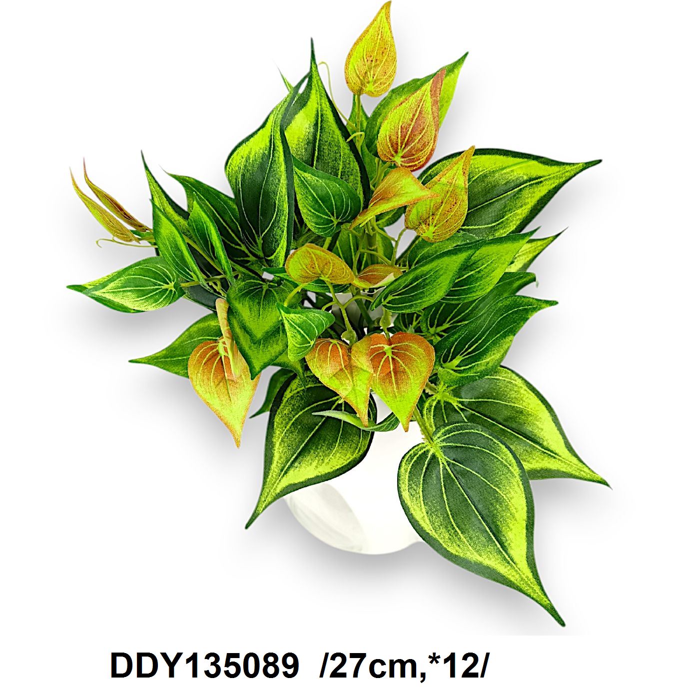 DDY135089