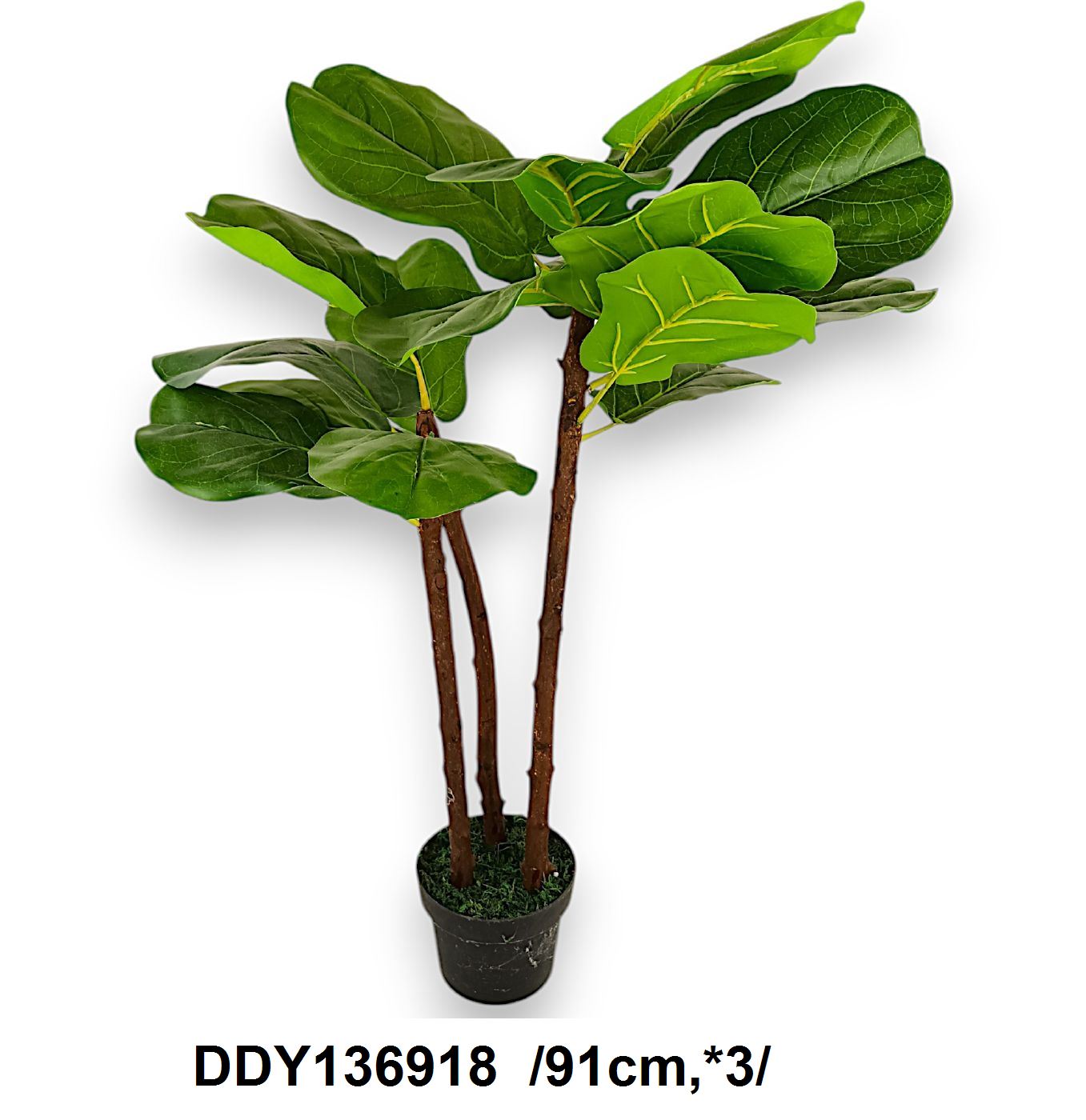 DDY136918