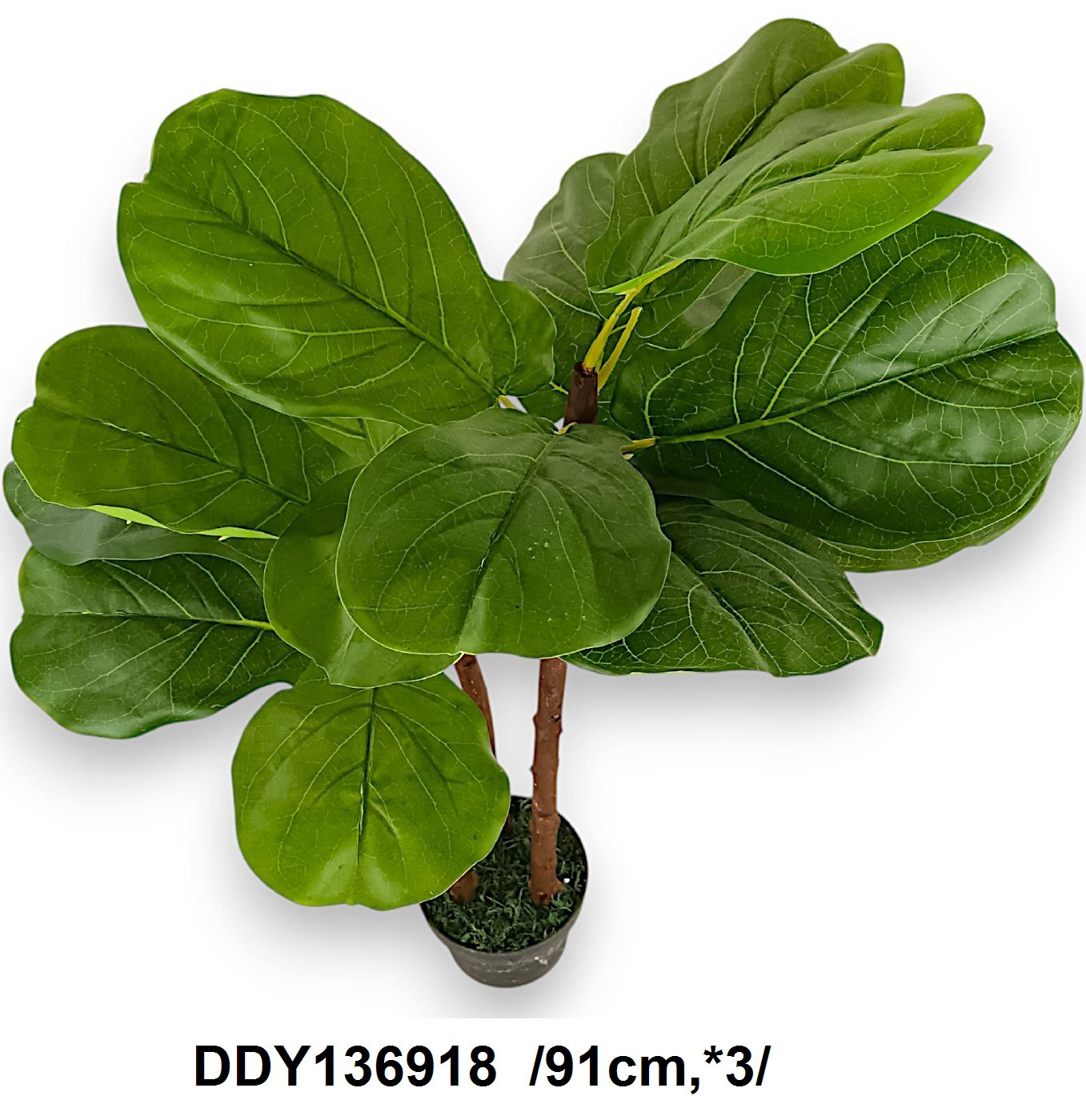 DDY136918