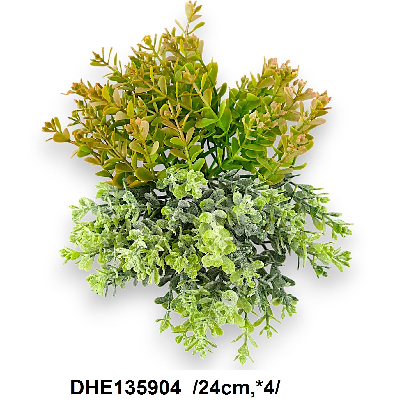 DHE135904