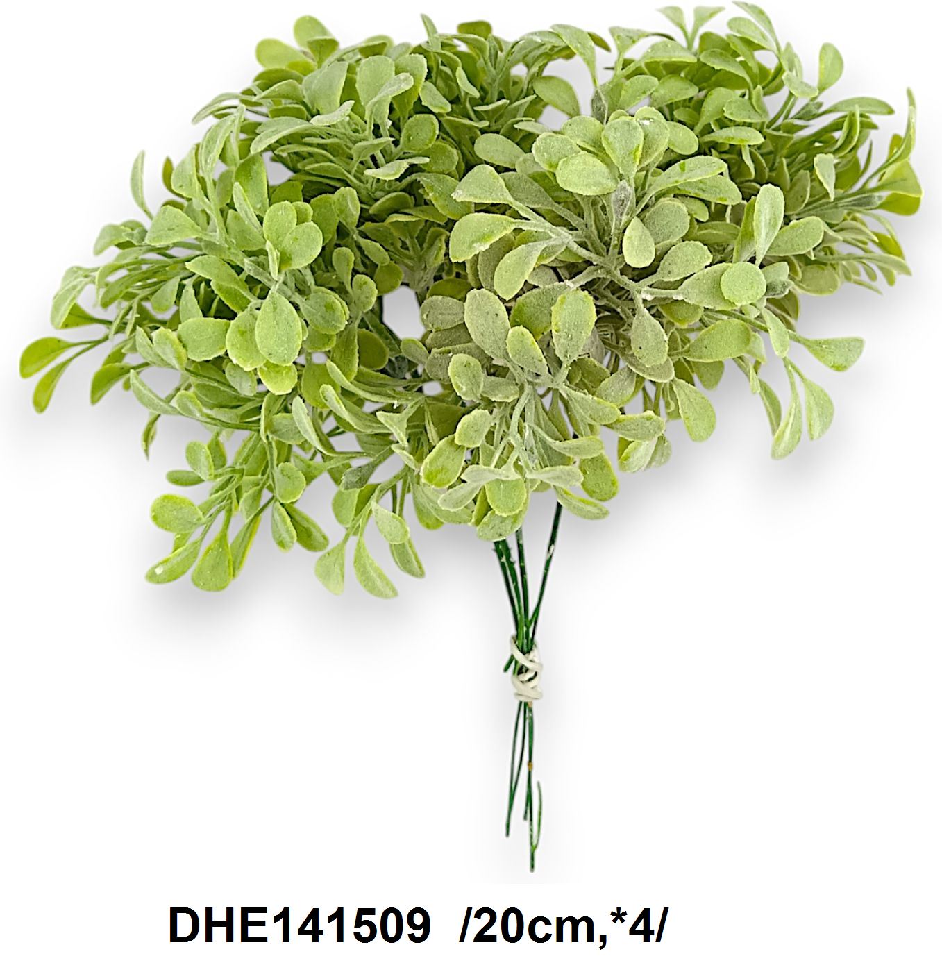 DHE141509
