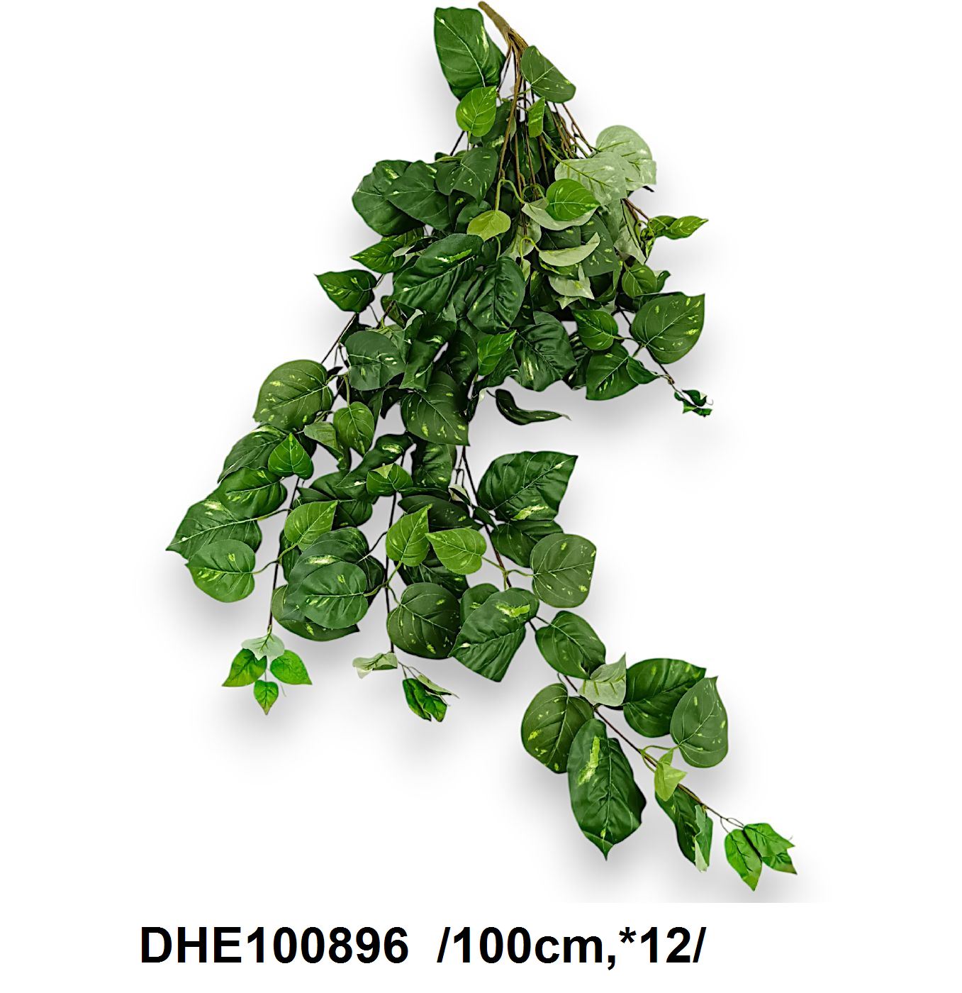 DHE100896