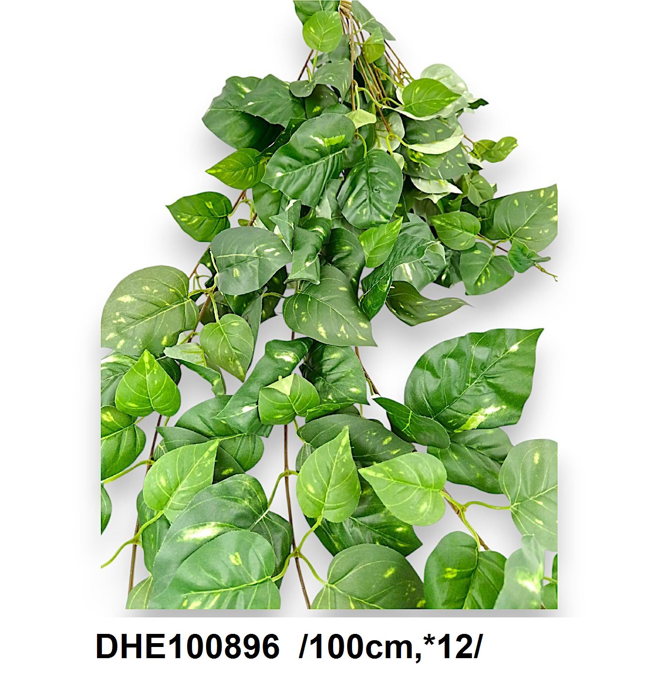 DHE100896