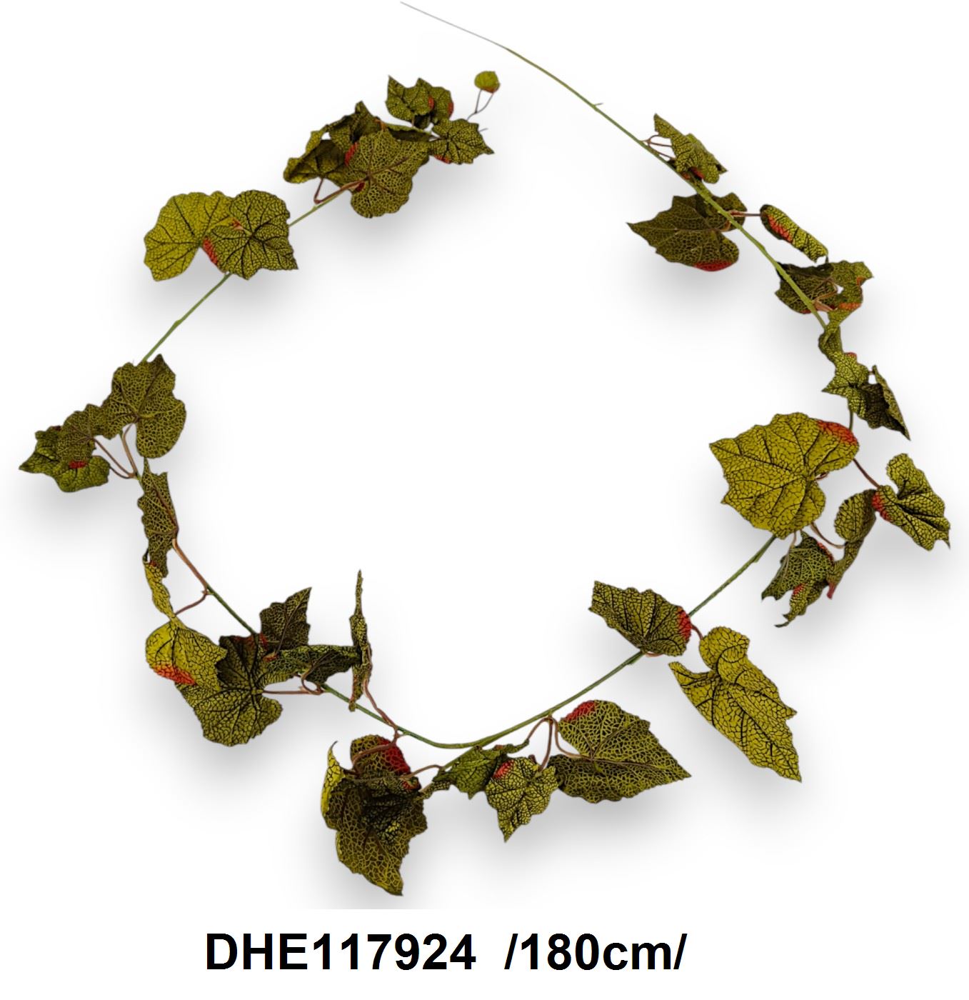 DHE117924