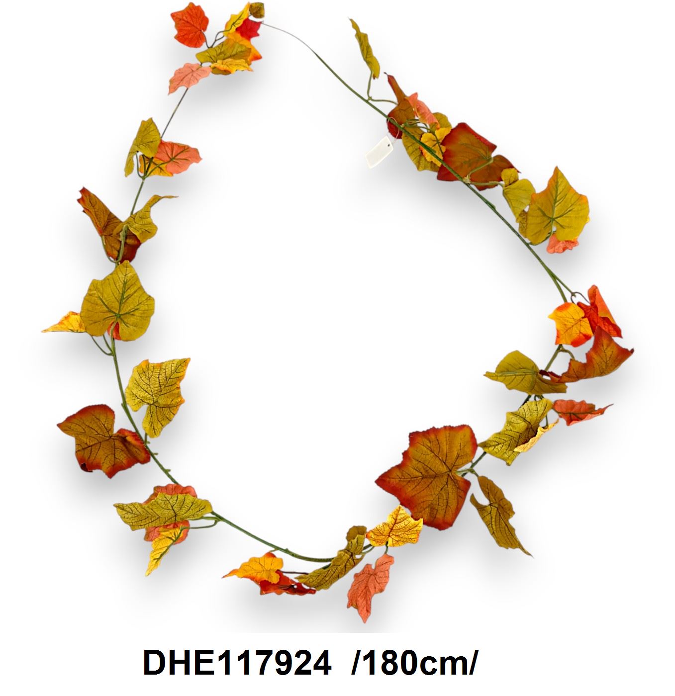 DHE117924