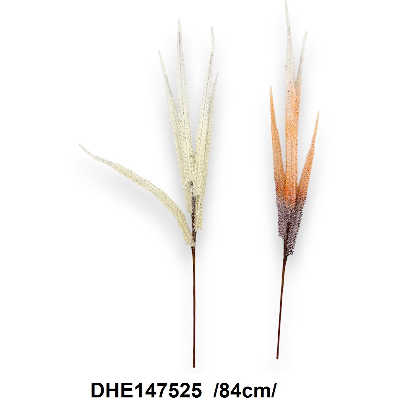 DHE147525