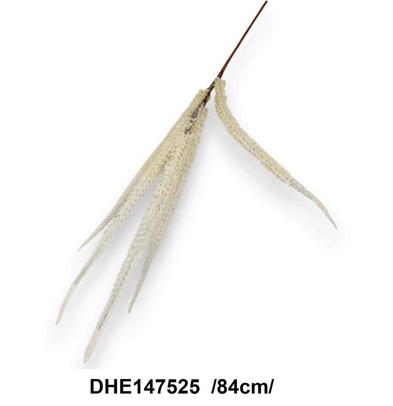 DHE147525