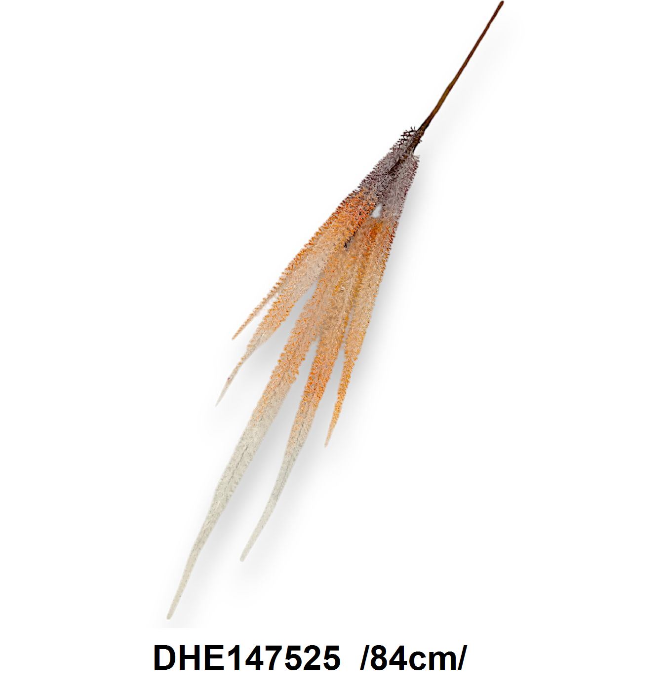 DHE147525