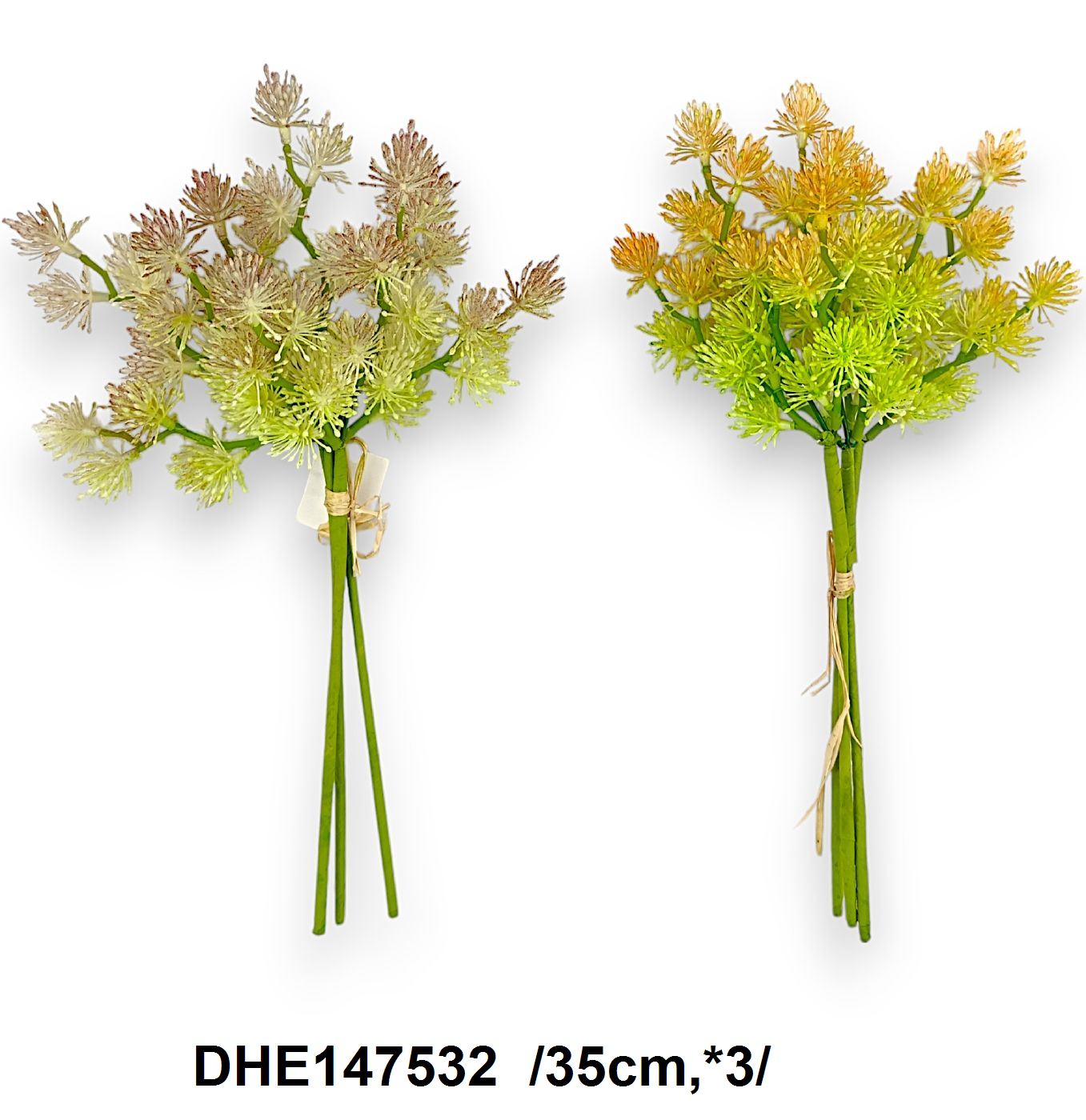 DHE147532
