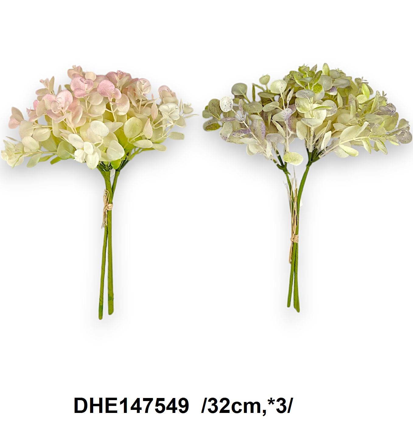 DHE147549