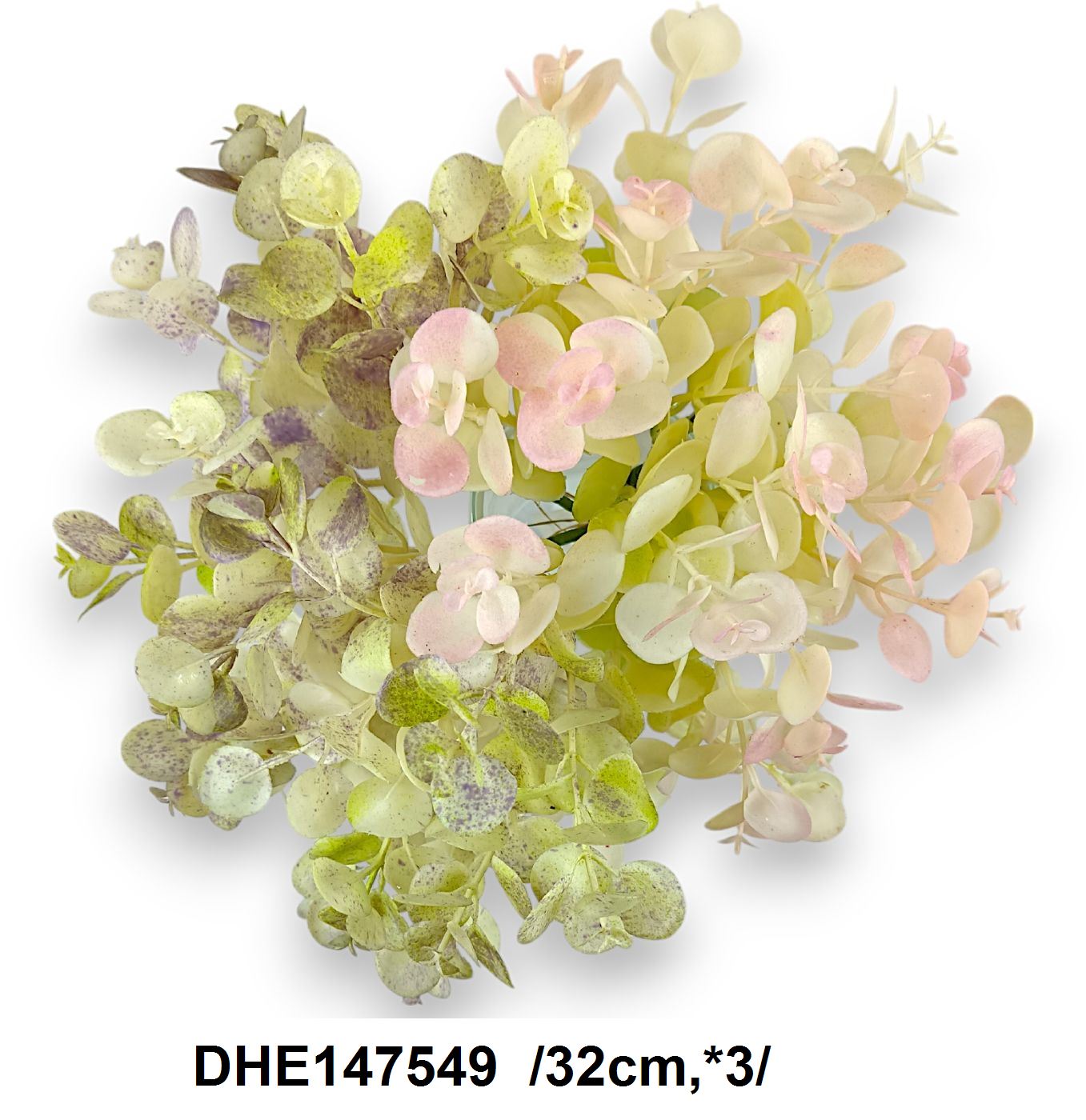 DHE147549