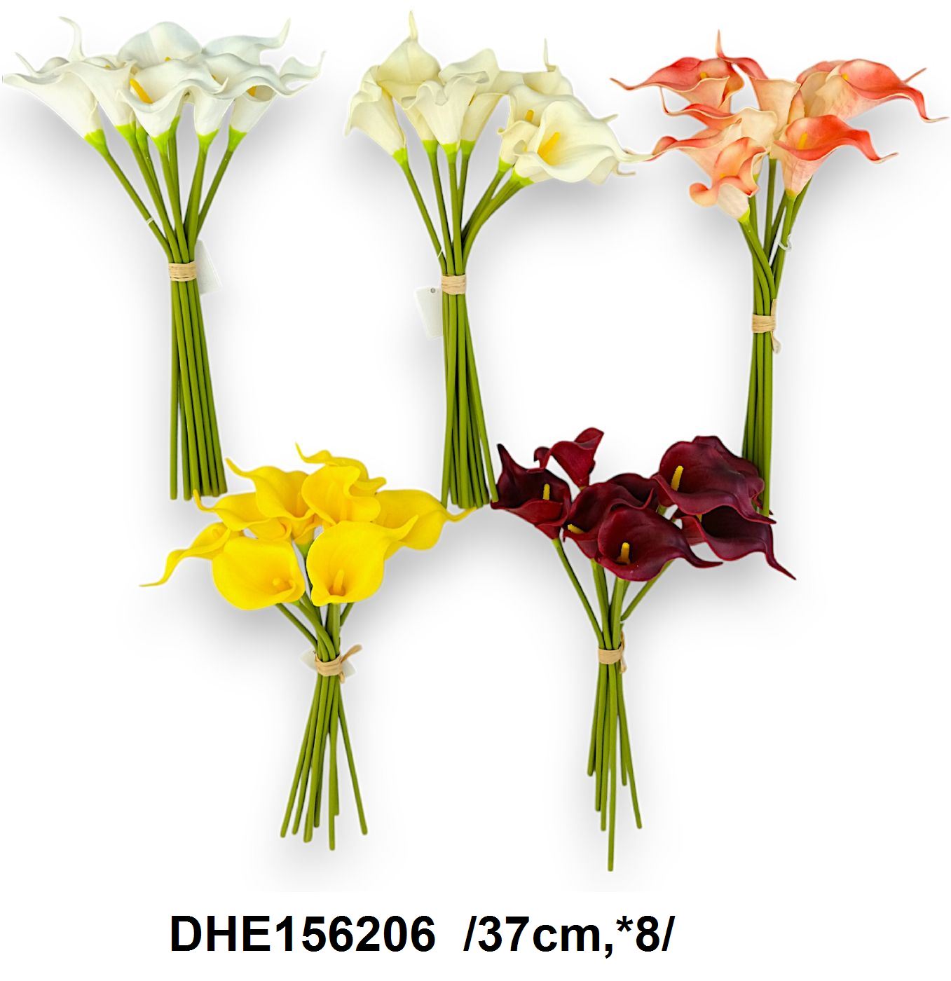 DHE156206