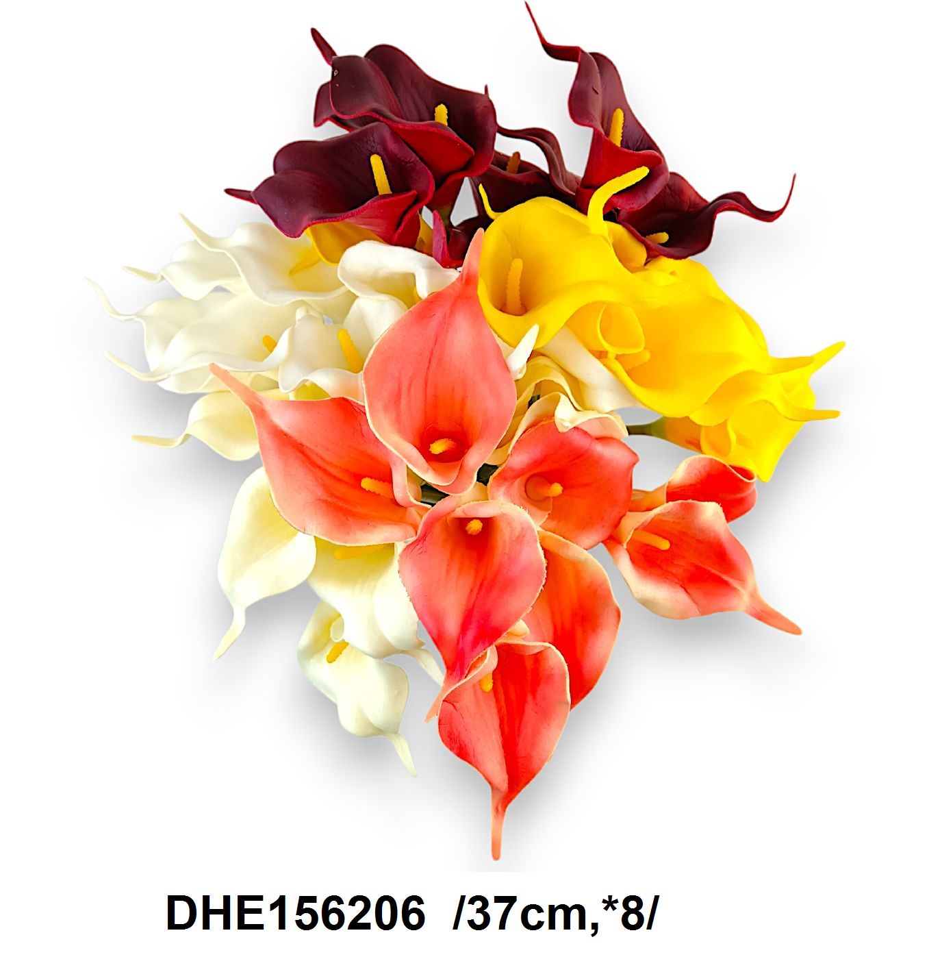 DHE156206