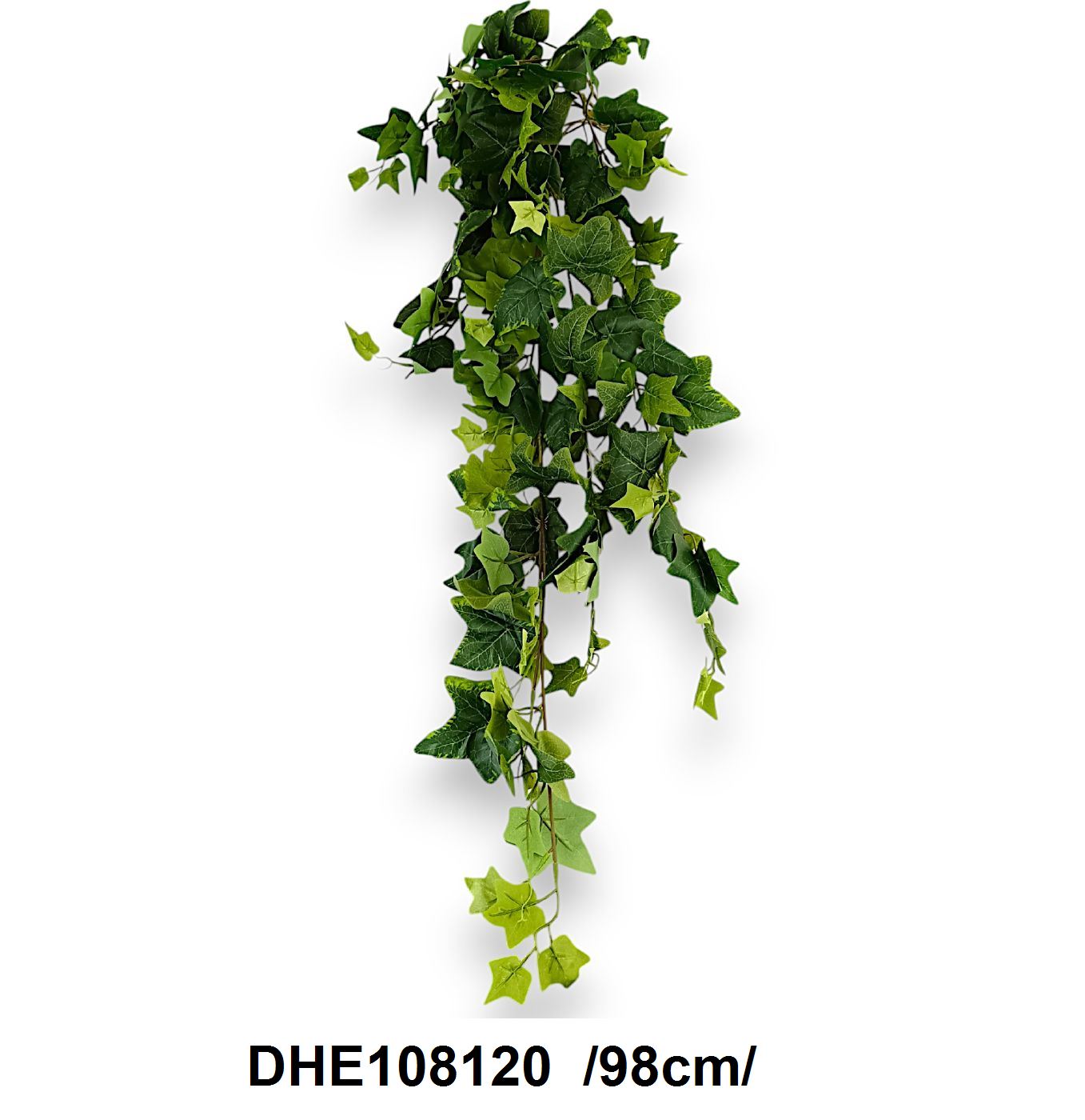 DHE108120