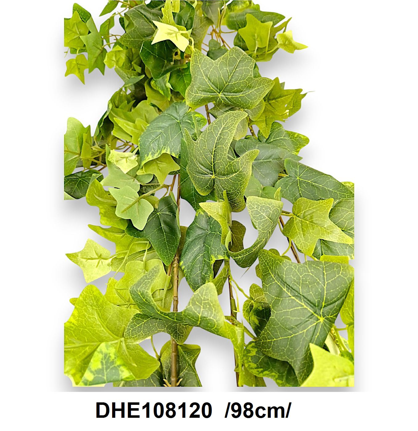 DHE108120