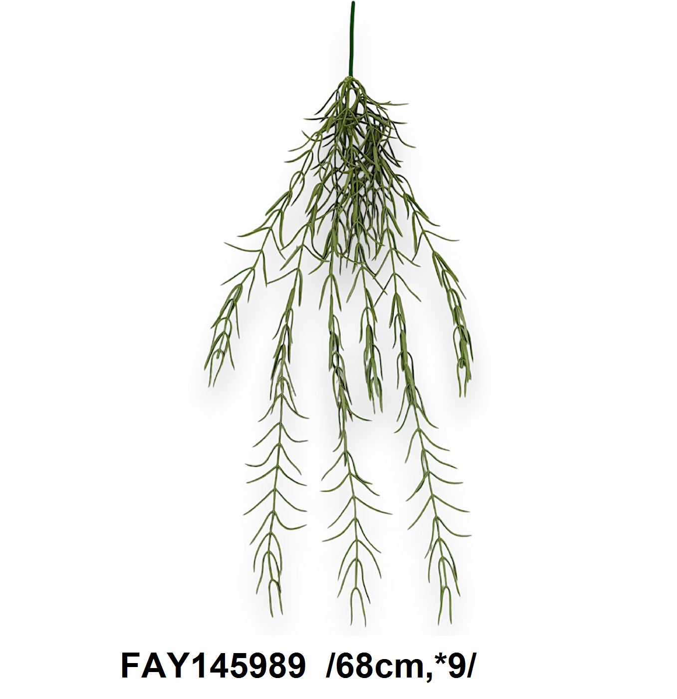 FAY145989