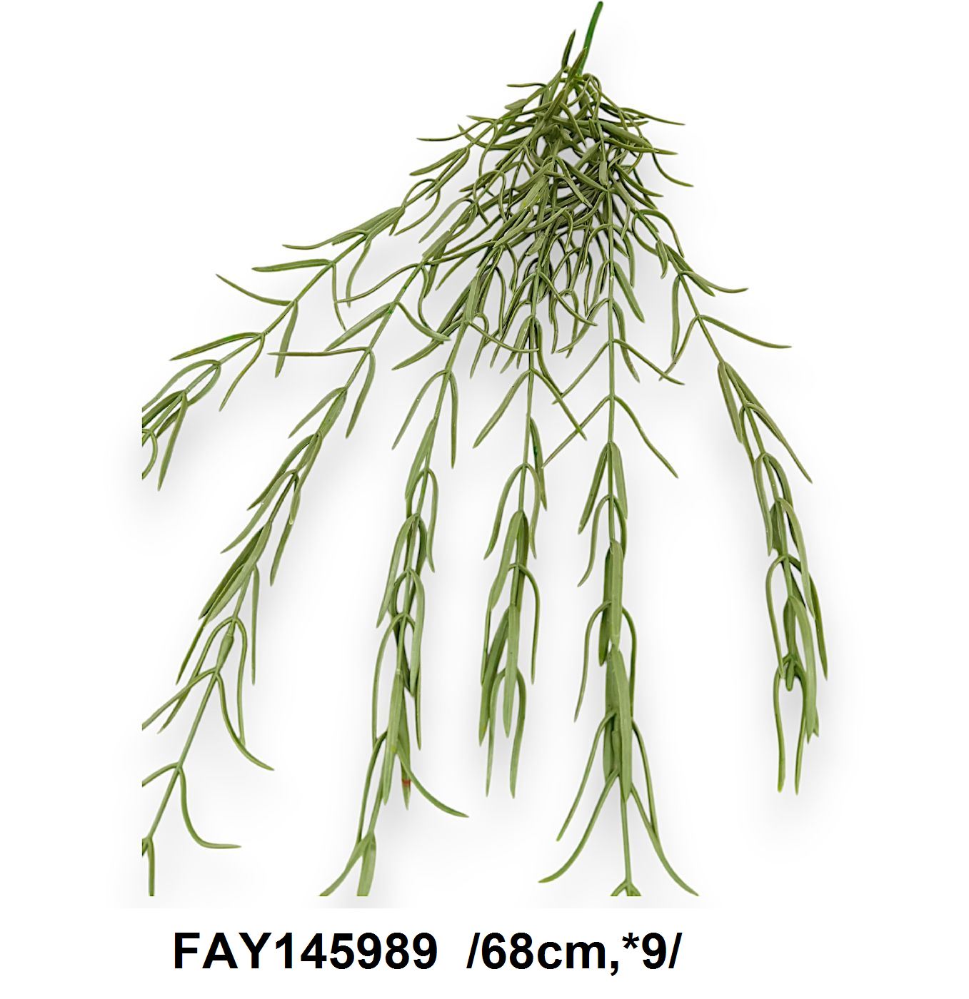 FAY145989
