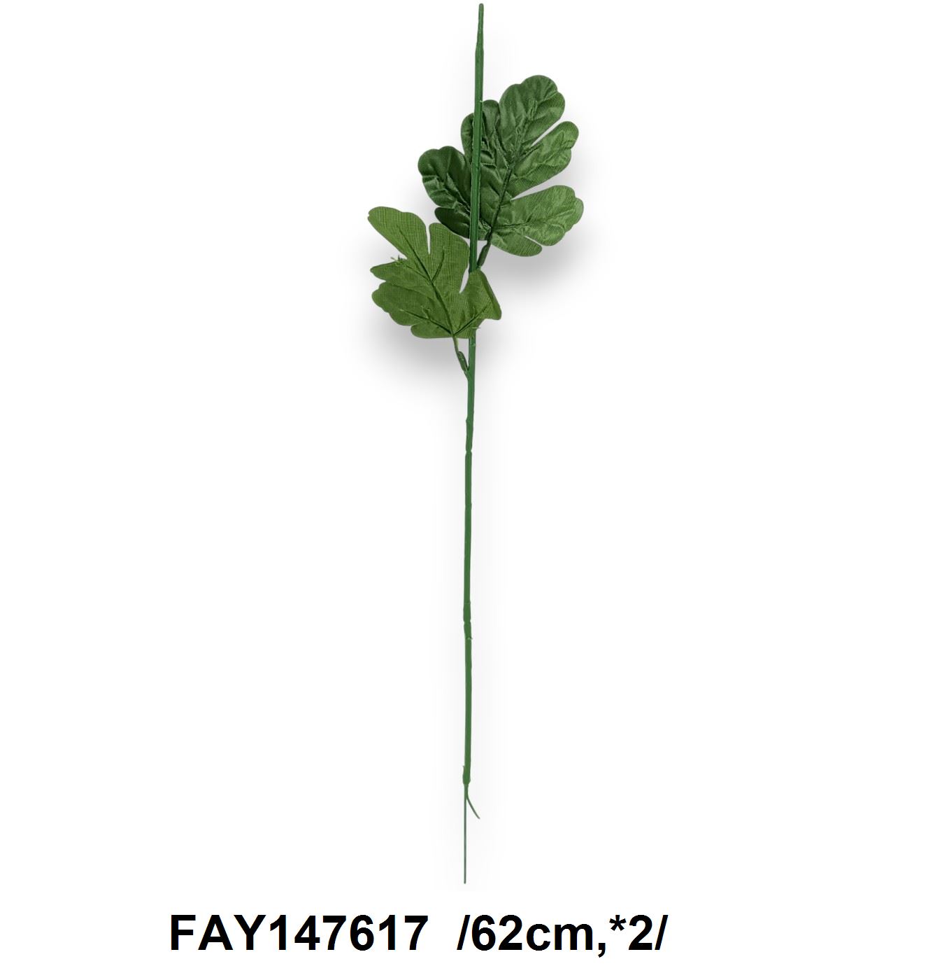 FAY147617
