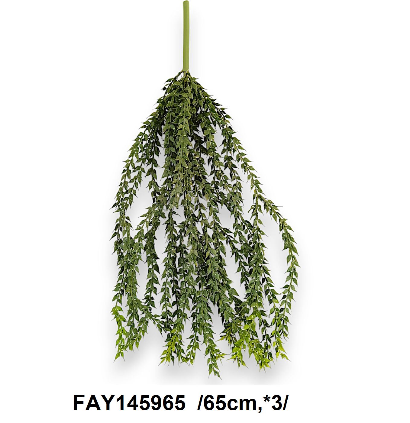 FAY145965