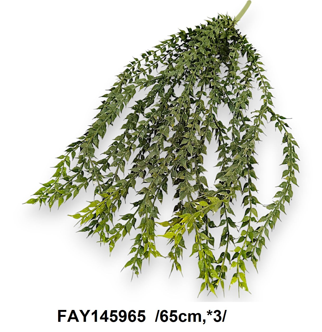 FAY145965
